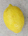 自然栽培 レモン