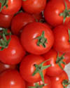 自然栽培 トマト